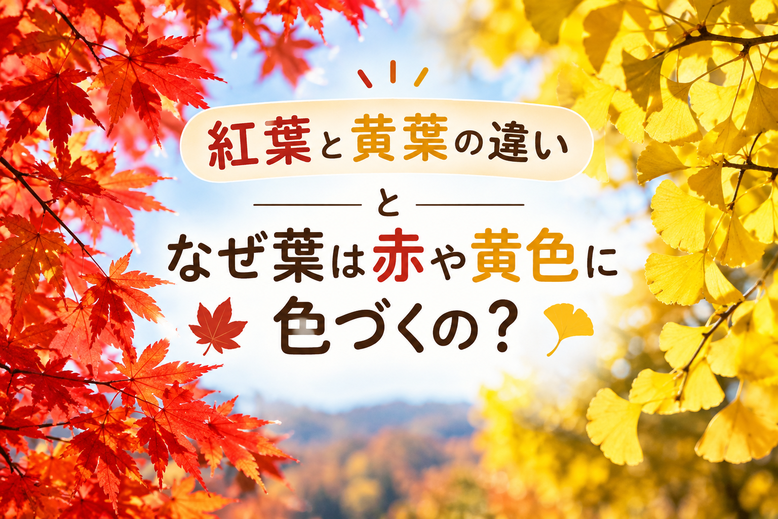 紅葉と黄葉の違いと葉が赤や黄色に色づくしくみ
