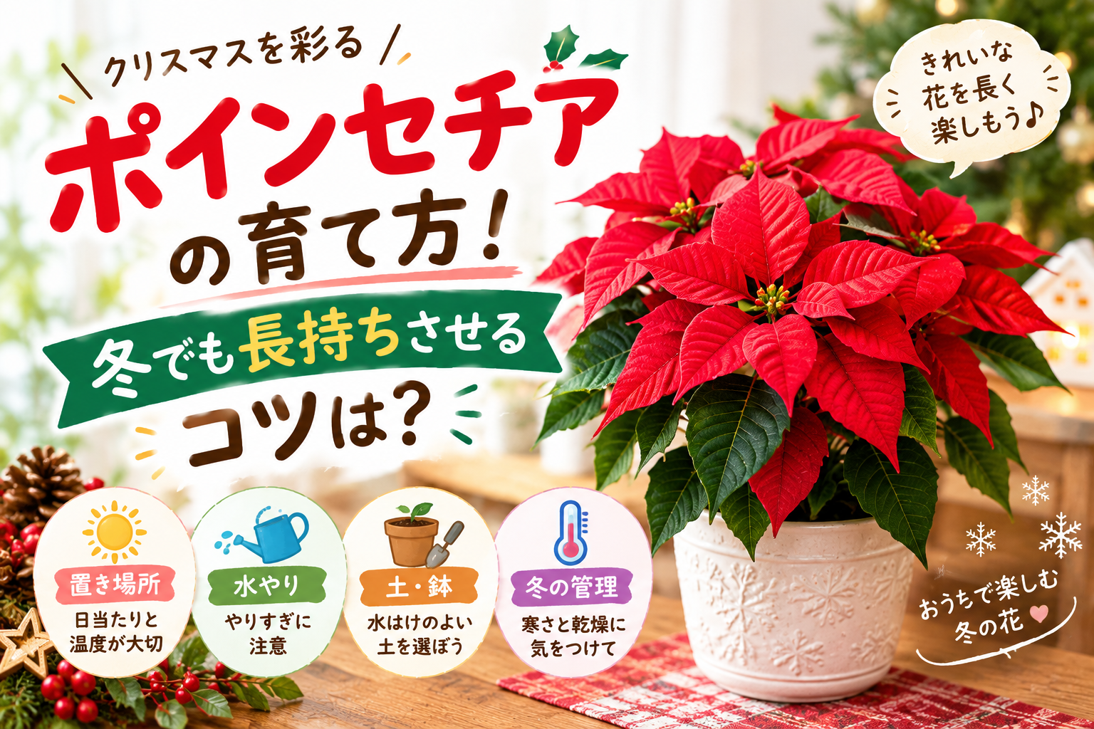 ポインセチアの冬の育て方と長く楽しむためのポイント