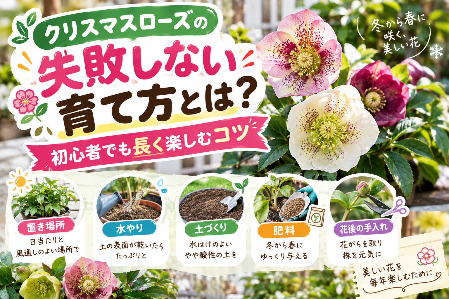 クリスマスローズの育て方と初心者が失敗しない置き場所・水やりのコツを紹介