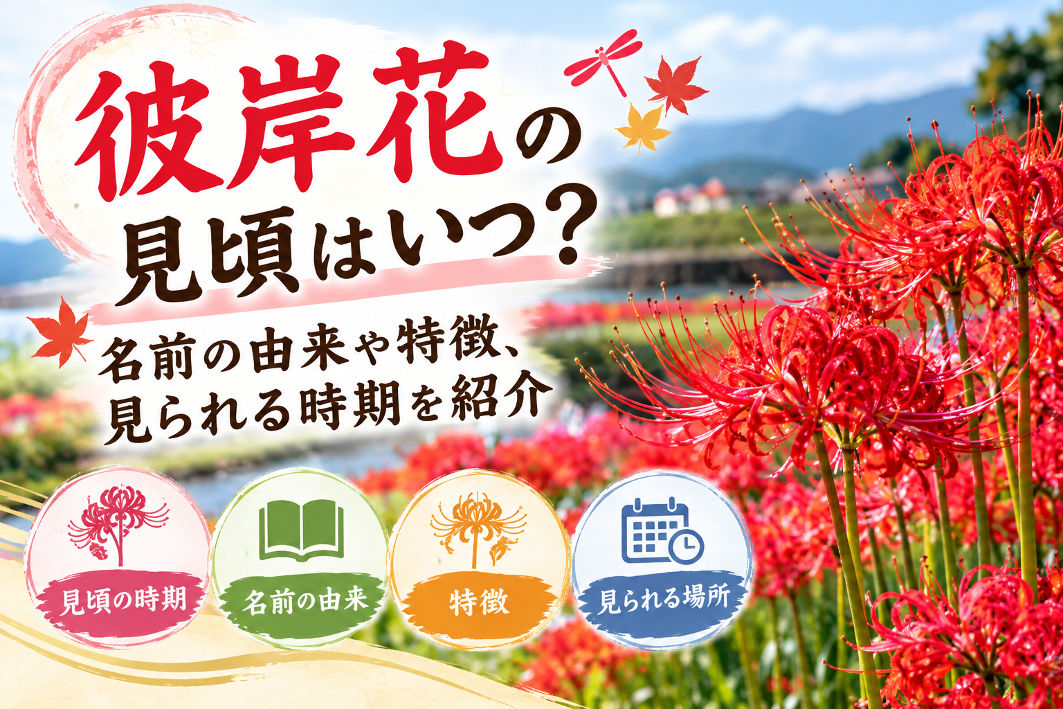 秋の田んぼのあぜ道に赤い彼岸花が咲いている風景