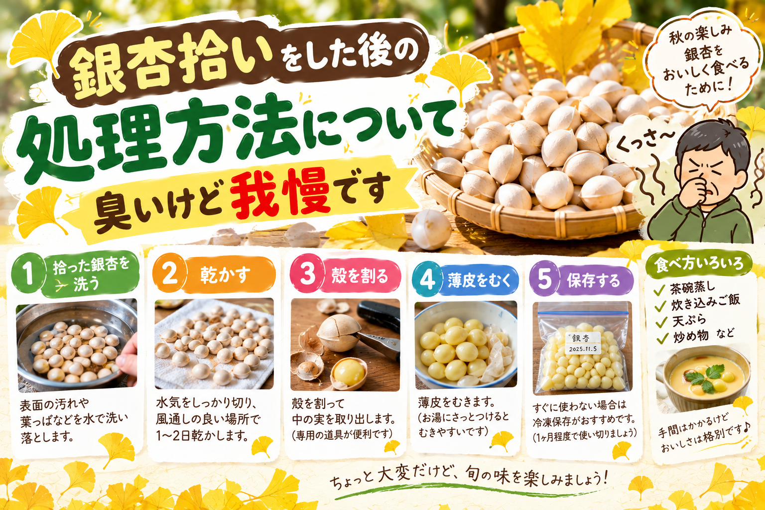 銀杏拾いをした後の果肉の取り方や洗い方、乾燥・保存方法を紹介
